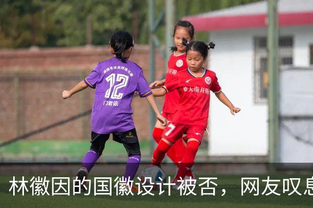 林徽因的国徽设计被否，网友叹息审美与现实的差距